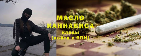 тгк Абаза