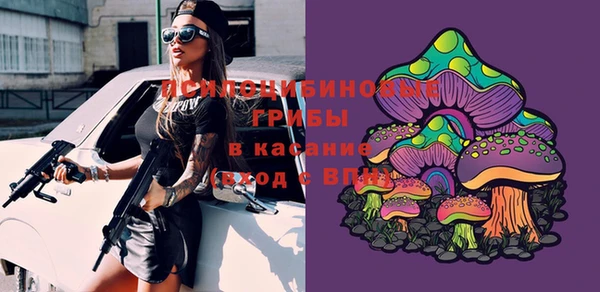 spice Абинск