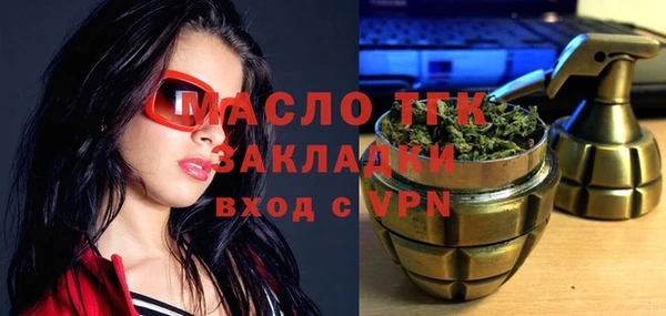 тгк Абаза