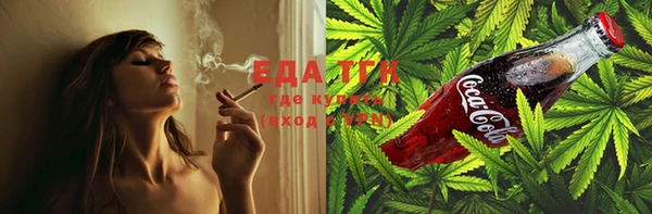 тгк Абаза