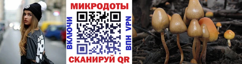 Псилоцибиновые грибы прущие грибы ссылка на мегу tor Дубна